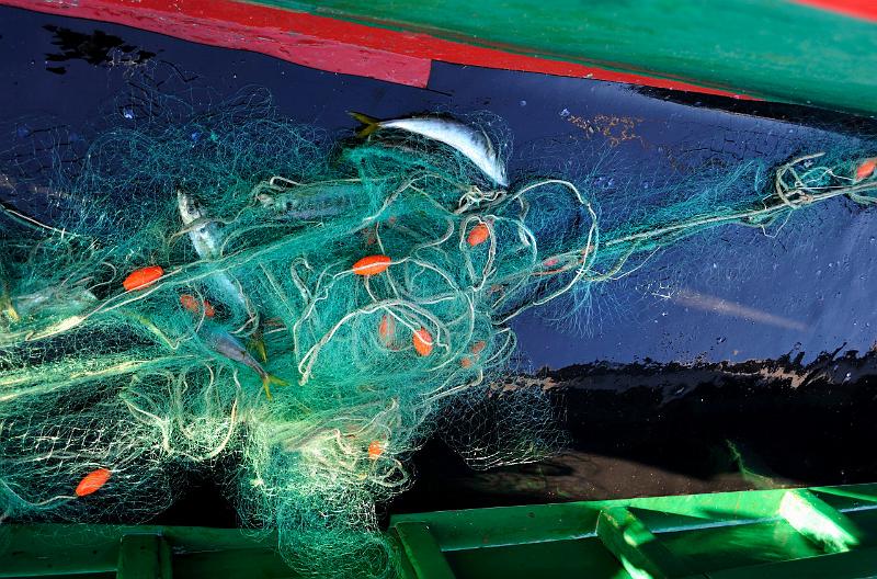 Fileyeur St Jean de Luz ad5.JPG